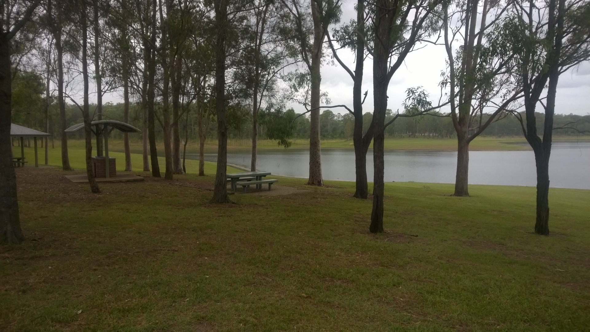 Picnic table and BBQ at Bullocky Rest, a day use area on Lake Samsonvale with plenty of space, lots of BBQs and sheltered tables