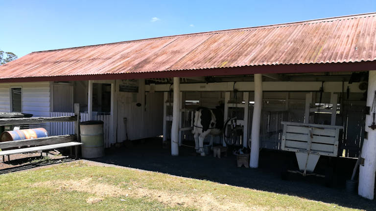 Milking Shed at the Queensland Dairy and Heritage Museum in Murgon