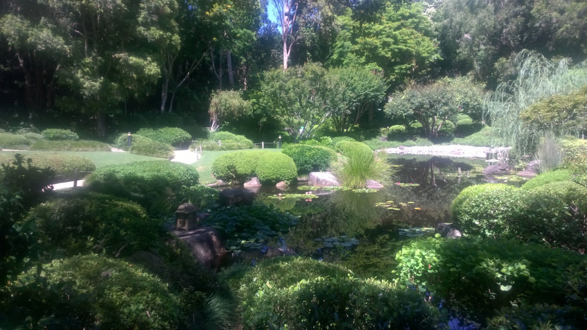 Japanese Gardens in The Brisbane Botanical Gardens at Mt Coot-tha. The gardens have 56 hectares of subtropical gardens, with more than 100,000 plants of 5,000 species