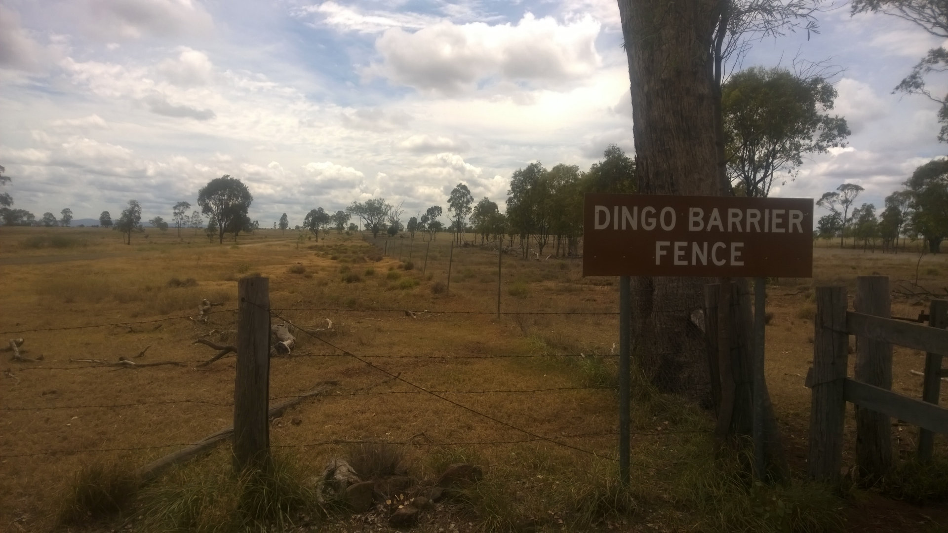 The start of the 5,600km Dingo Fence near Jandowae, ending in South Australia. Brown sign for Dingo Barrier Fence in the foreground