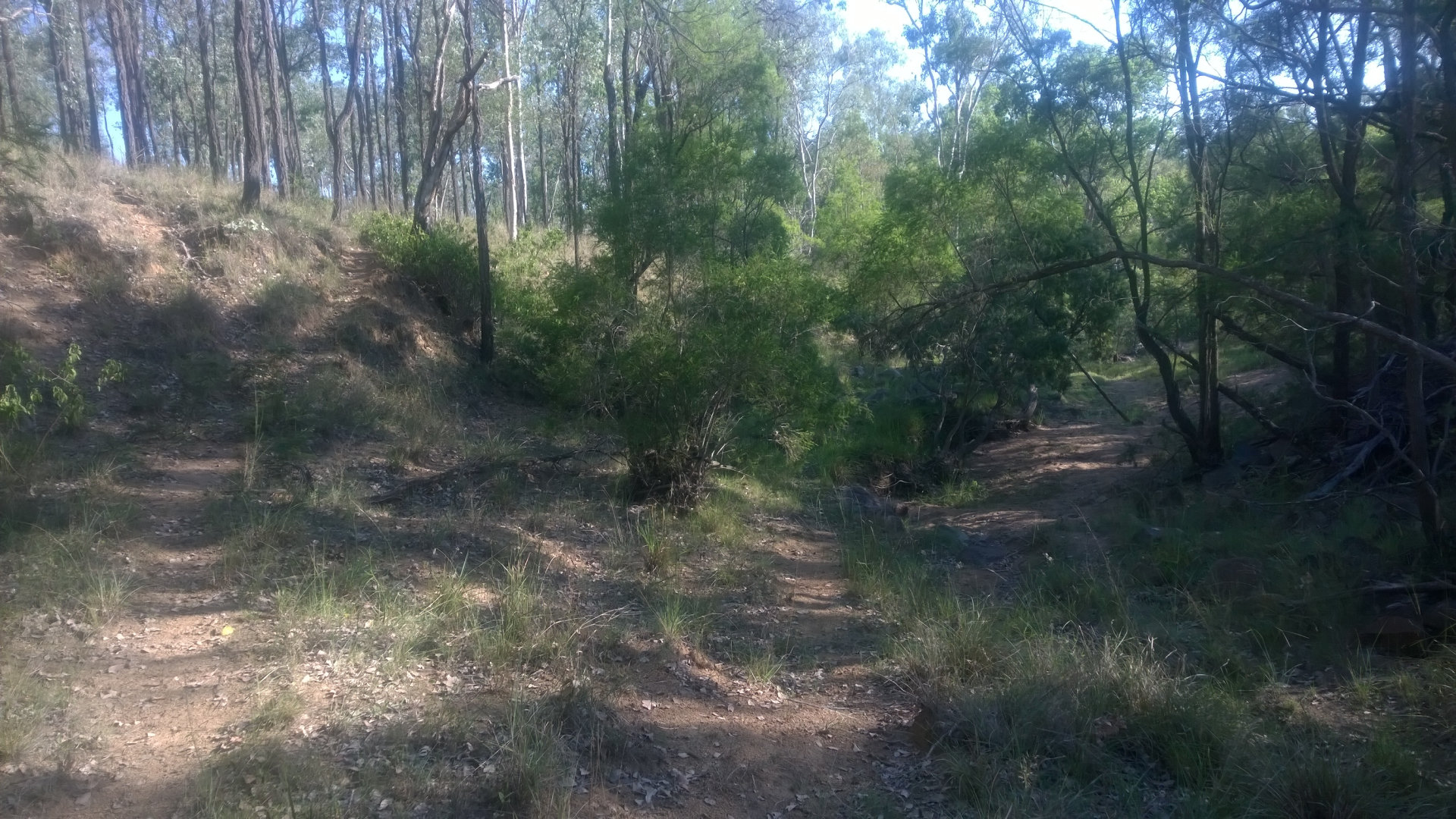Dry creek area of Seven Mile Diggings, an old gold fossicking area with most of the mining taking place from 1876 to 1900. Alluvial gold can still be found