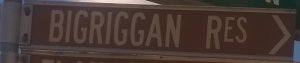 Brown sign for Bigriggan Res