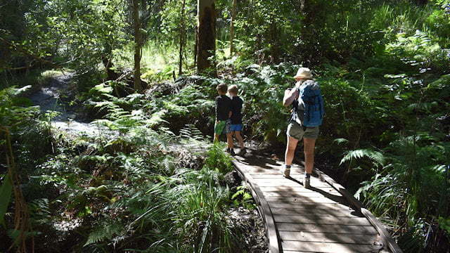 A woman and two children walking through the rainforest with a wooden boardwalk, taken on the walk to Booloumba Creek Falls at Conondale National Park