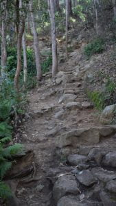 Steps along Mt Ngungun walking trail before railings added in 2019