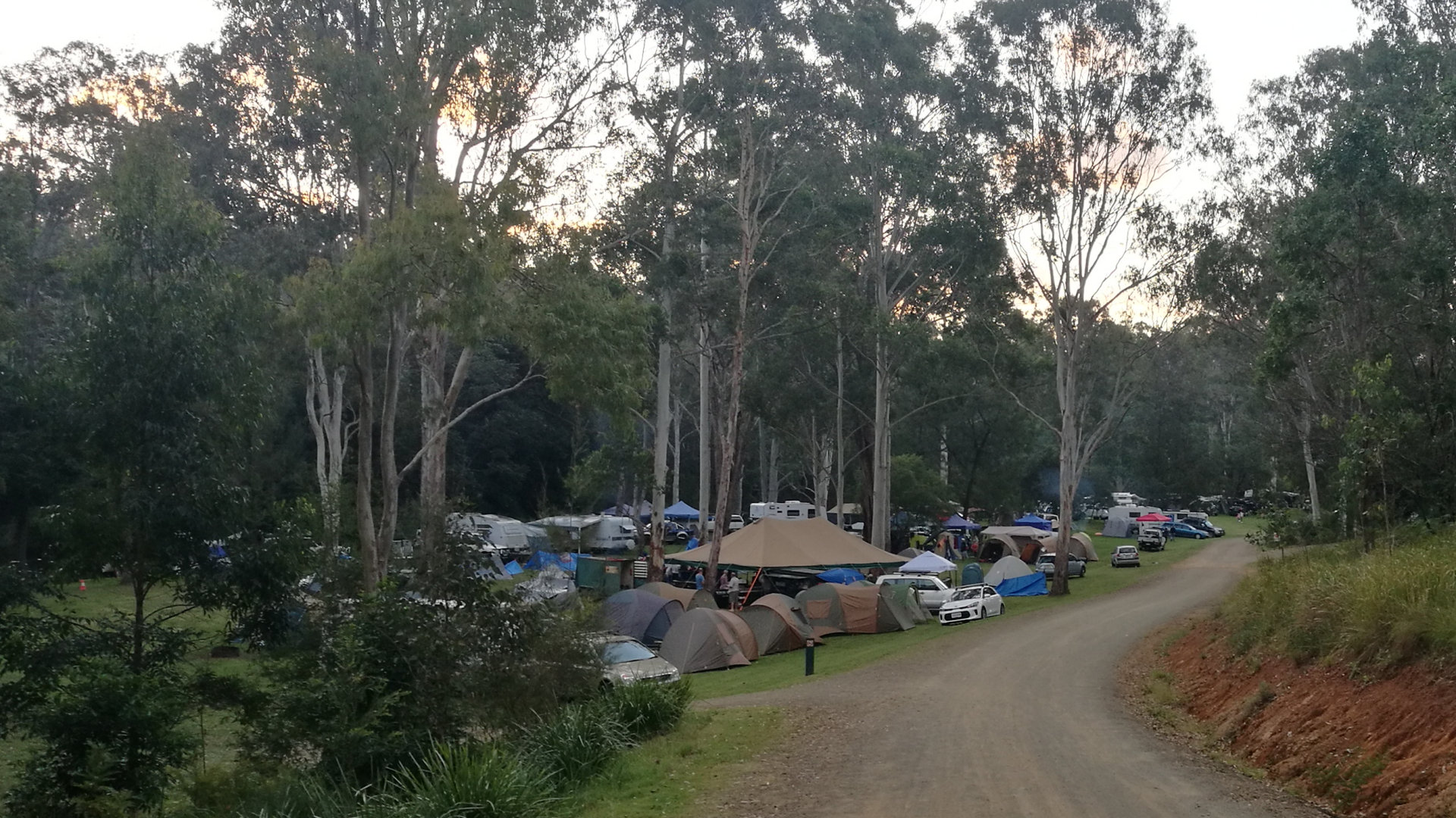 Camping grounds at Peach Trees, a camping ground in the Jimna State Forest along Yabba Creek. Growing fruit trees near forestry camps used to be common, and peach trees growing around the camping area are remnants from this practise.