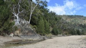 Dry creek bed of Emu Creek at Benarkin State Forest