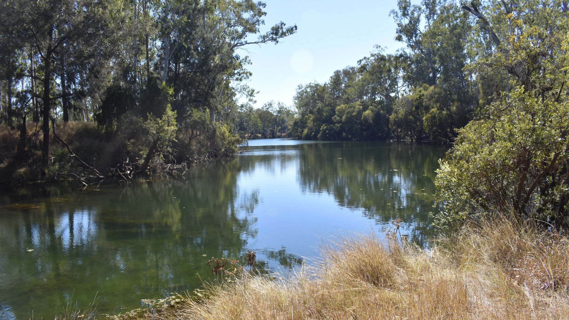 Looking up a wide creek, known as the Bunyip Hole near Mulgildie along the Three Moon Creek