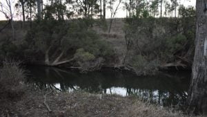 Creek bank, located at the back of the paddock where the Ladley Flat School site is at