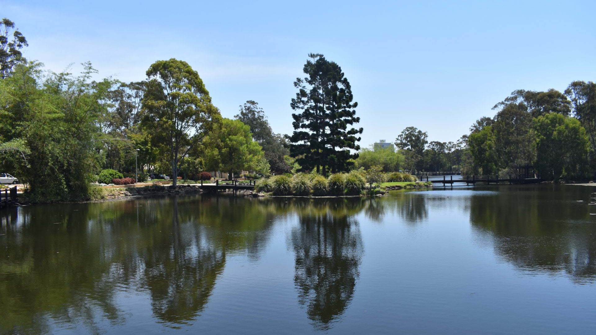Lake with a bridge on either side to an island in the centre and trees reflecting on the lake, at the Gold Coast Regional Botanic Gardens