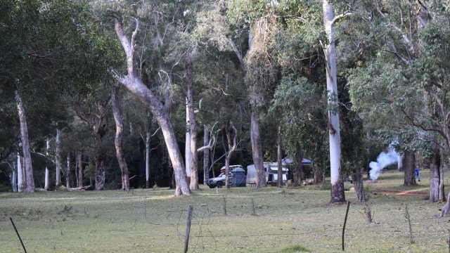 Griffith Creek camping area at Kroombit Tops National Park