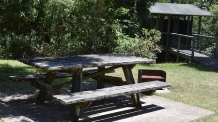 Picnic table, BBQ, and toilets at Antarctic Beech Picnic Area in Border Ranges National Park