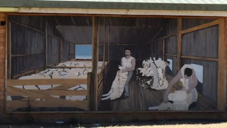Mural of shearers in a sheep shearing shed, on the back of a toilet block at the Jackie Howe Park rest stop in Warwick