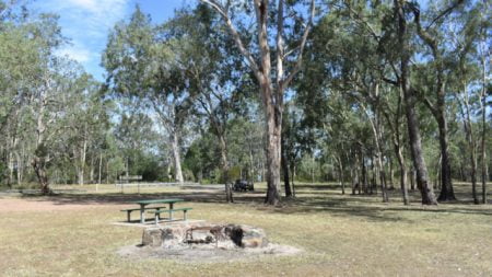 Langdon Reserve rest stop area with picnic table and fire place, shady trees in the background