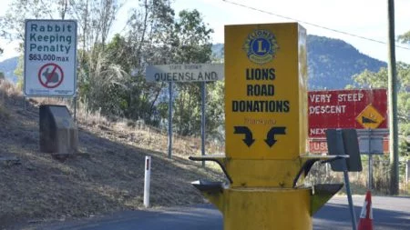 QLD and NSW border on Lions Road at the top of Border Ranges National Park