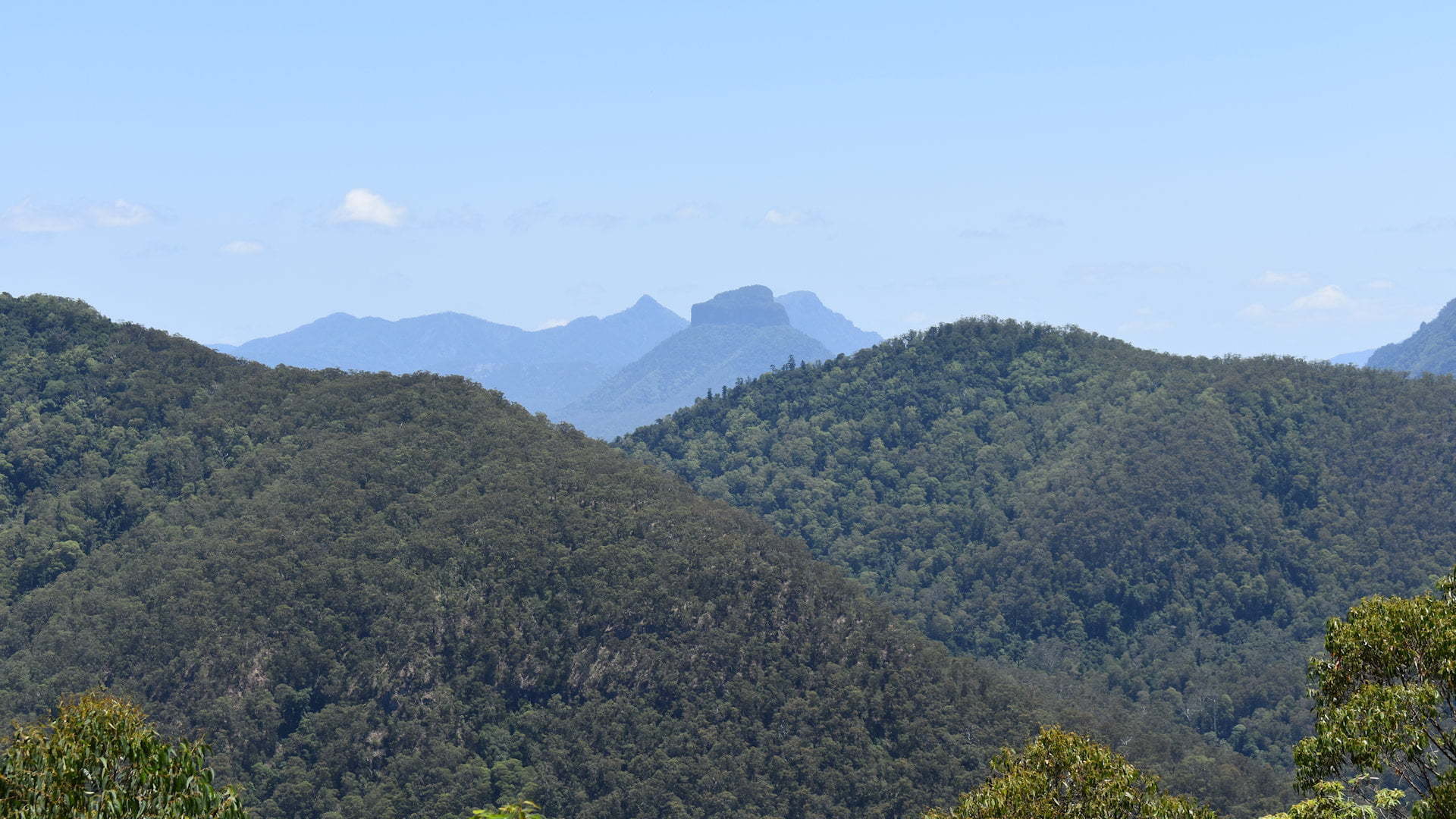 View of mountains and Mt Lindsay in the background, from Sherwood Lookout in Toonumbar National Park