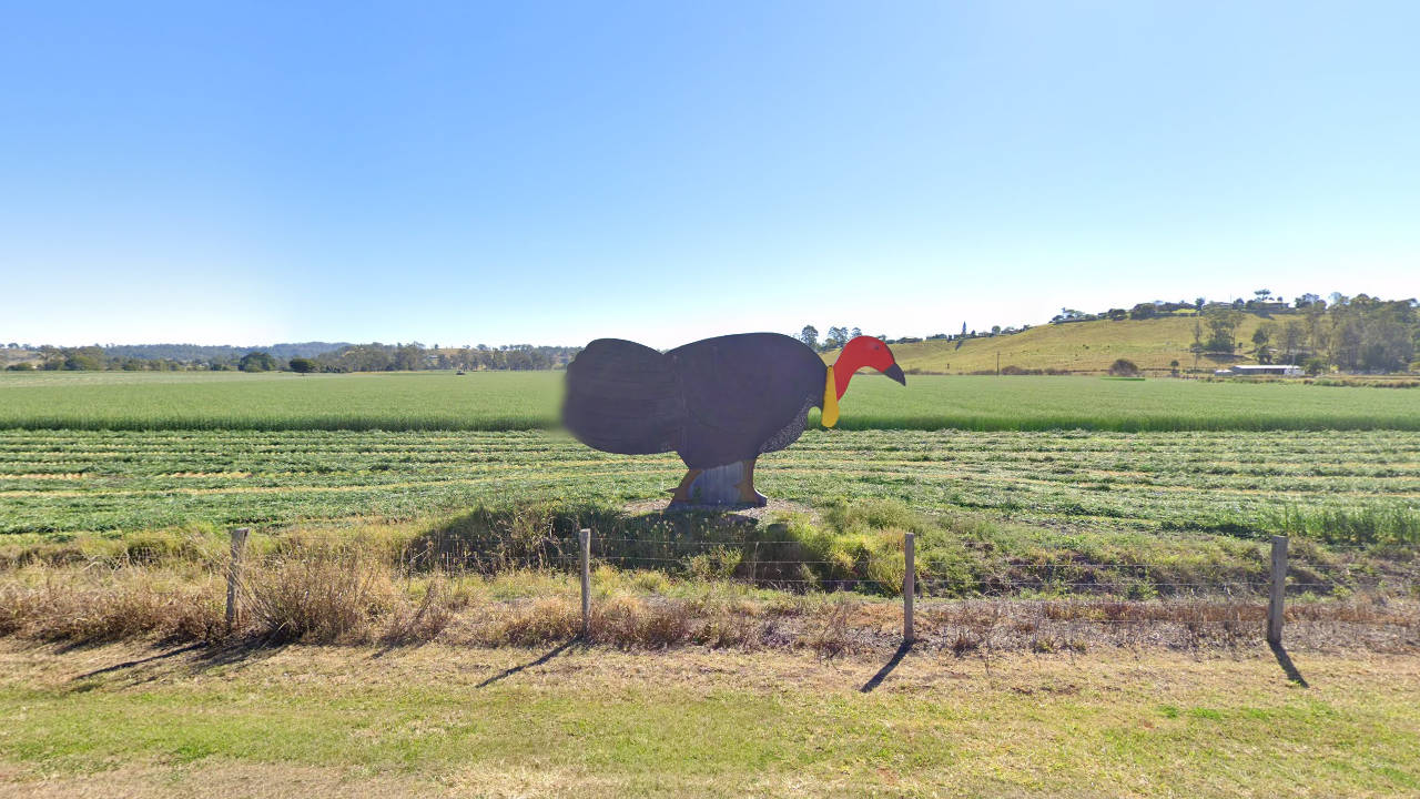 The Big Turkey in Kyogle