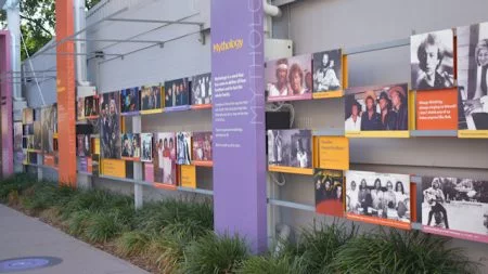 Wall of photos, part of the Bee Gees Way in Redcliffe