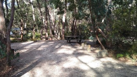 Campground site with picnic table and fireplace at Mulligans Hut Campgrounds
