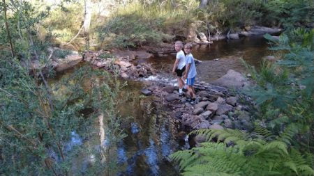 Boys crossing a creek at a stone weir, at Mulligans Hut in Gibraltar Range National Park