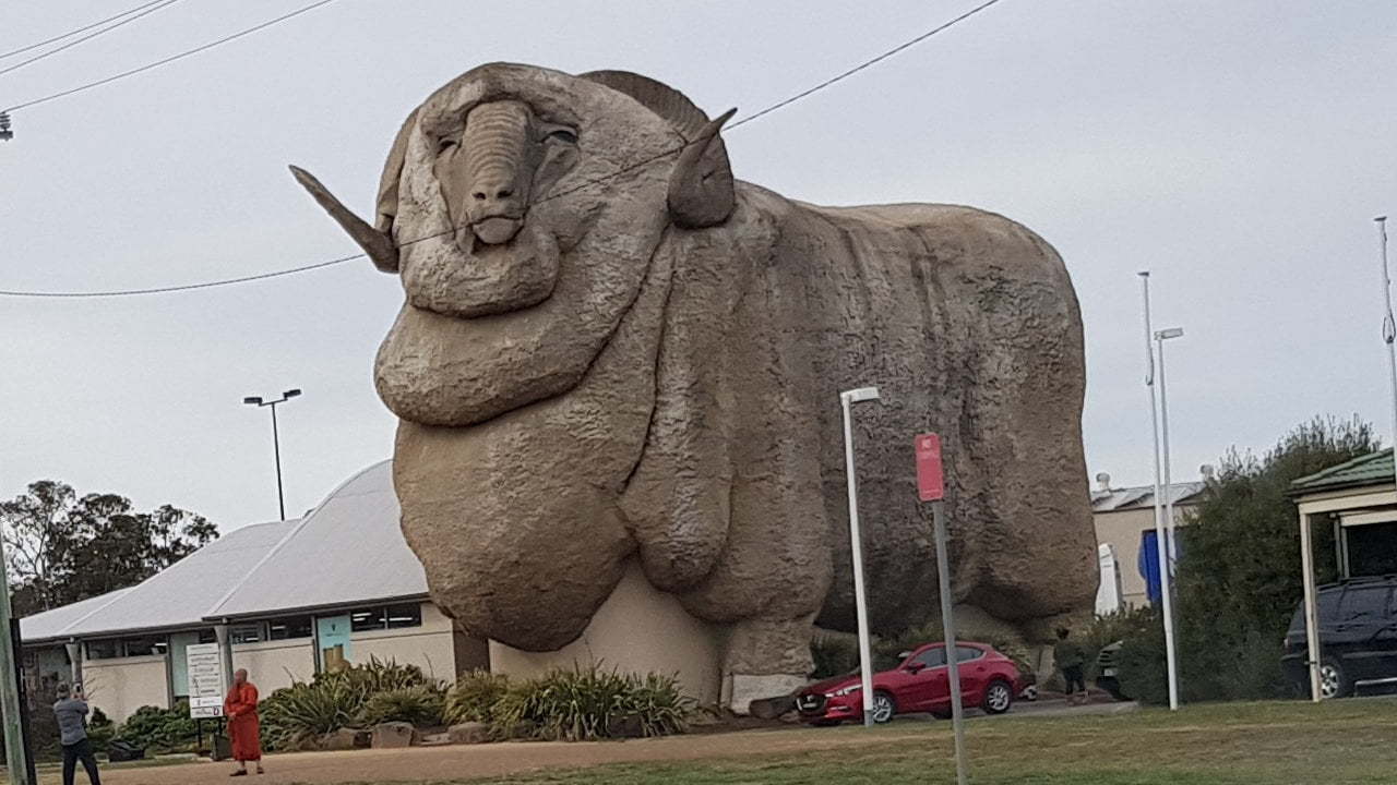The Big Merino at Goulburn in New South Wales