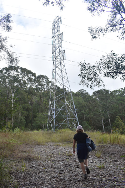 Powerlines tower on an offshoot track along Roses Circuit