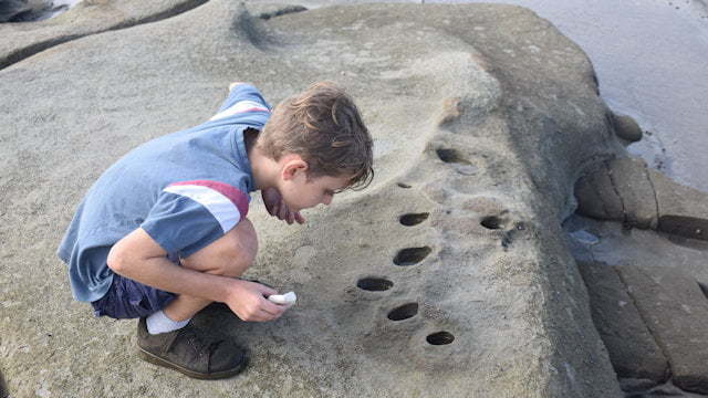 Boy looking at holes weathered into the rock of Shelley Headland in Yuraygir National Park