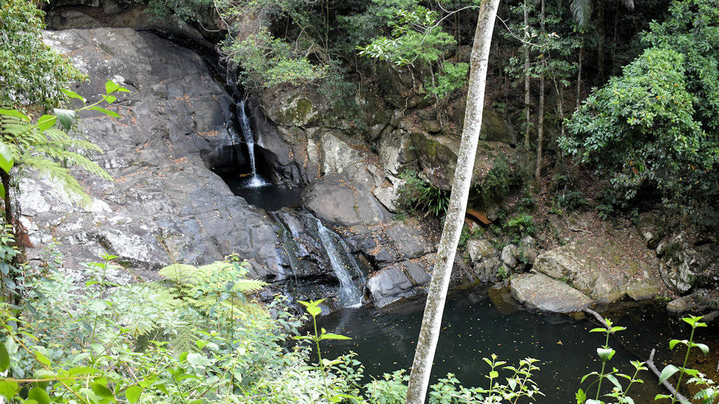 Cougal's Cascades seen from the viewing platform along the walking path, at Mt Cougal National Park along Currumbin Creek