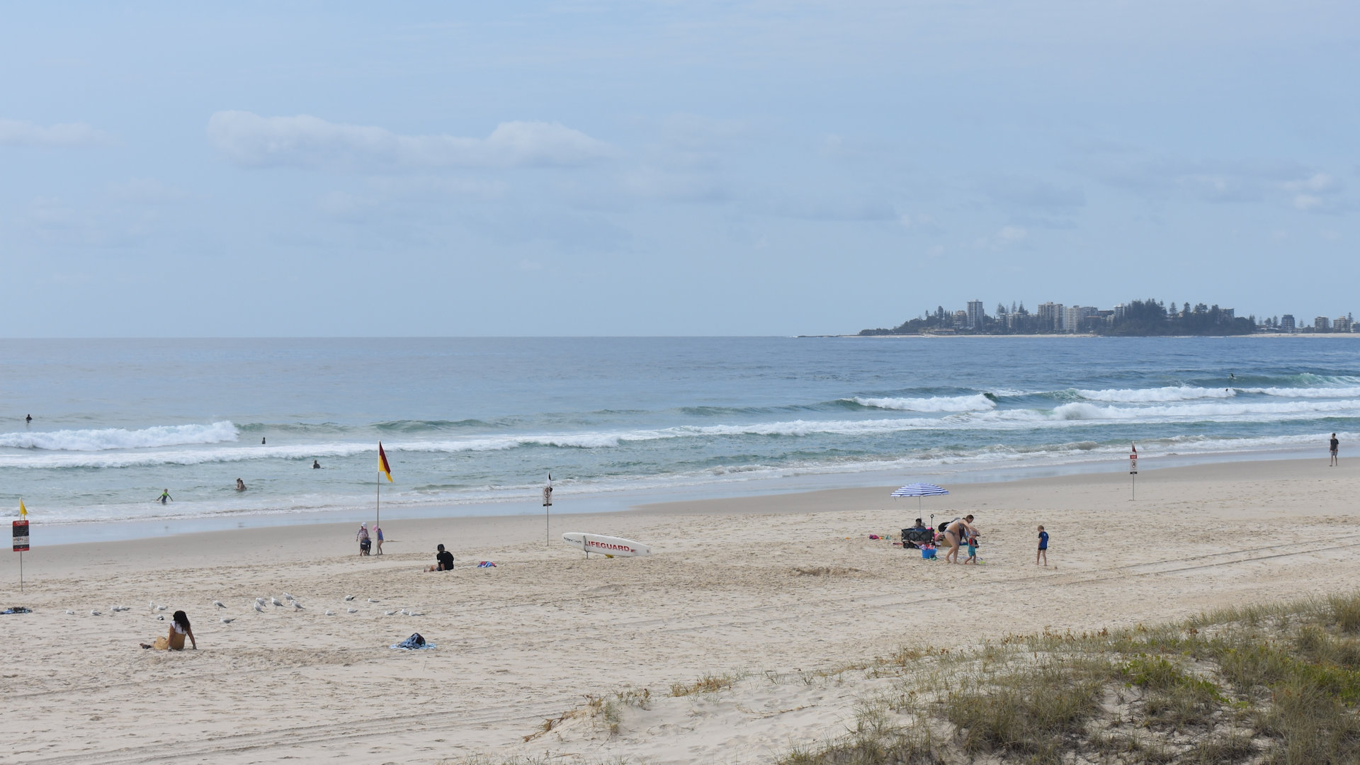 Tugun Beach Gold Coast Queensland, surf life saving board near flags and Coolangatta in the background