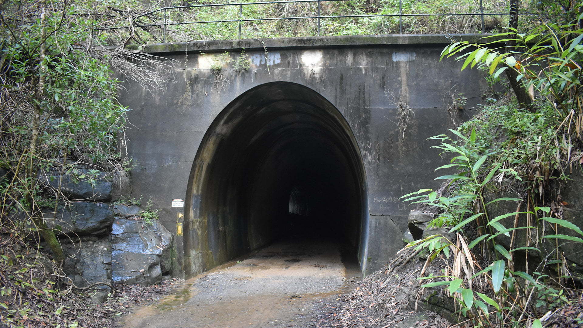 Railway tunnel in Dularcha National Park