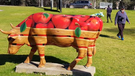 Apple Crate Cow, part of Shepparton's Moooving Art attraction
