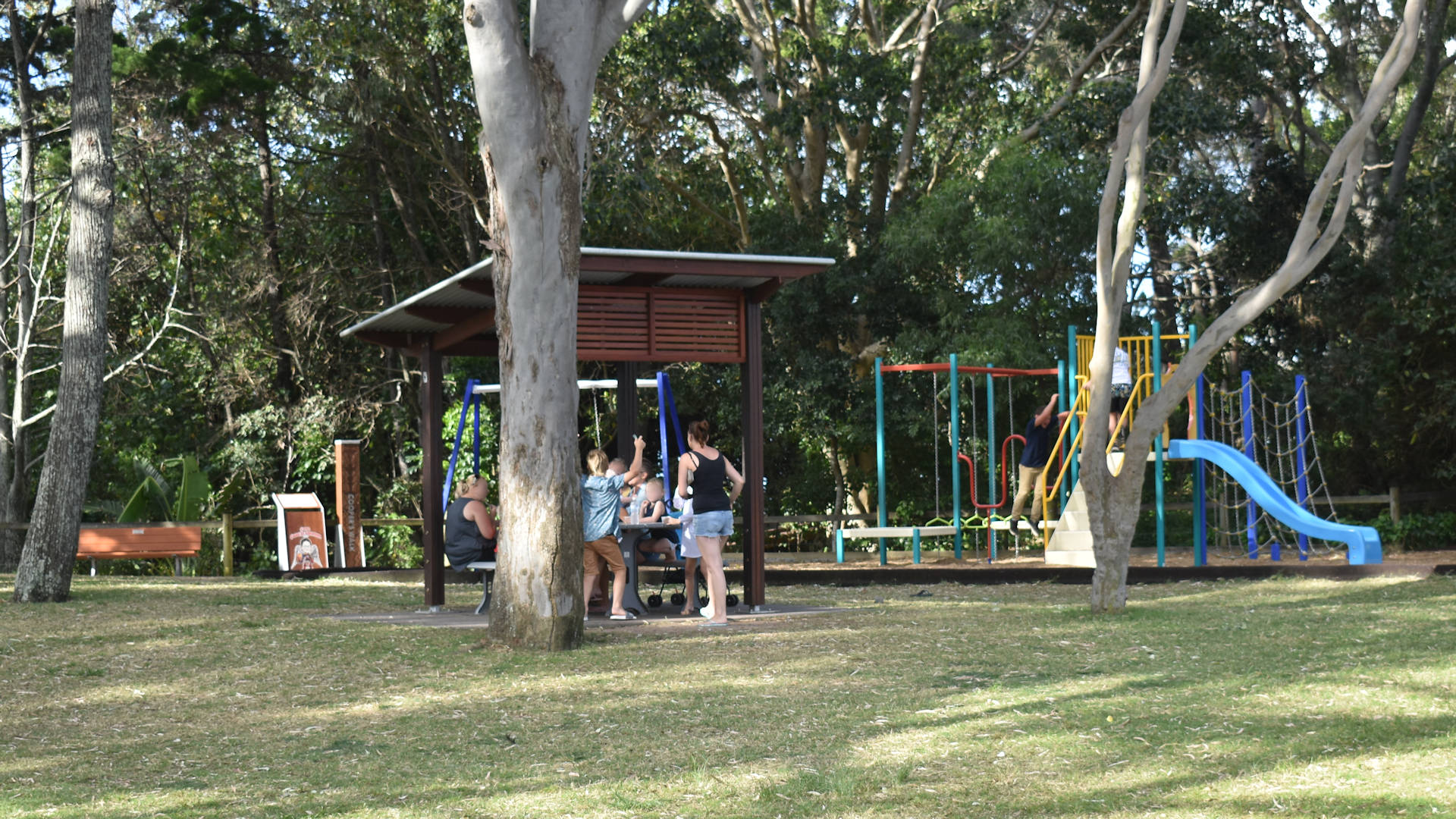 Green park with tall gumtrees, sheltered picnic area, and playground, taken at Nielsen Park in Hervey Bay