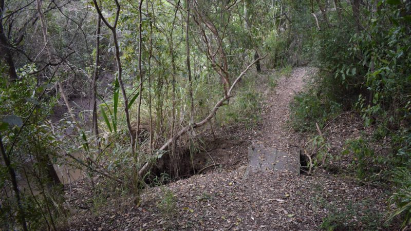 Walking trail with a small timber bridge
