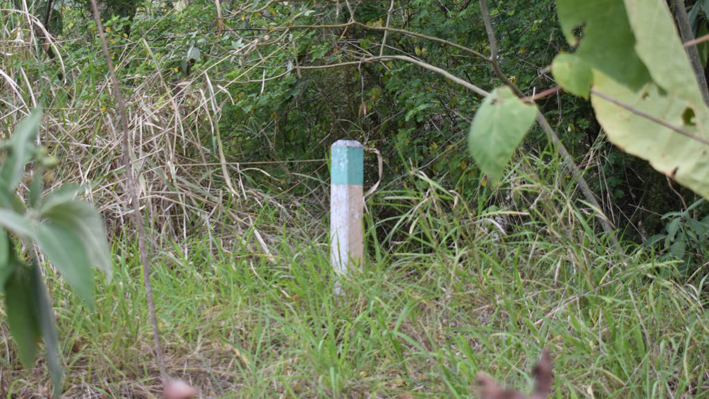 Post with a green band on the river walk path of Pioneer Park in Maryborough