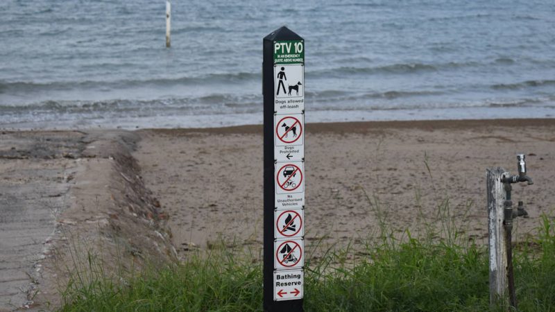 Beach with a boat ramp on the left, sign post with dog off-leash symbol, other symbols for no vehicles, no fires, no camping