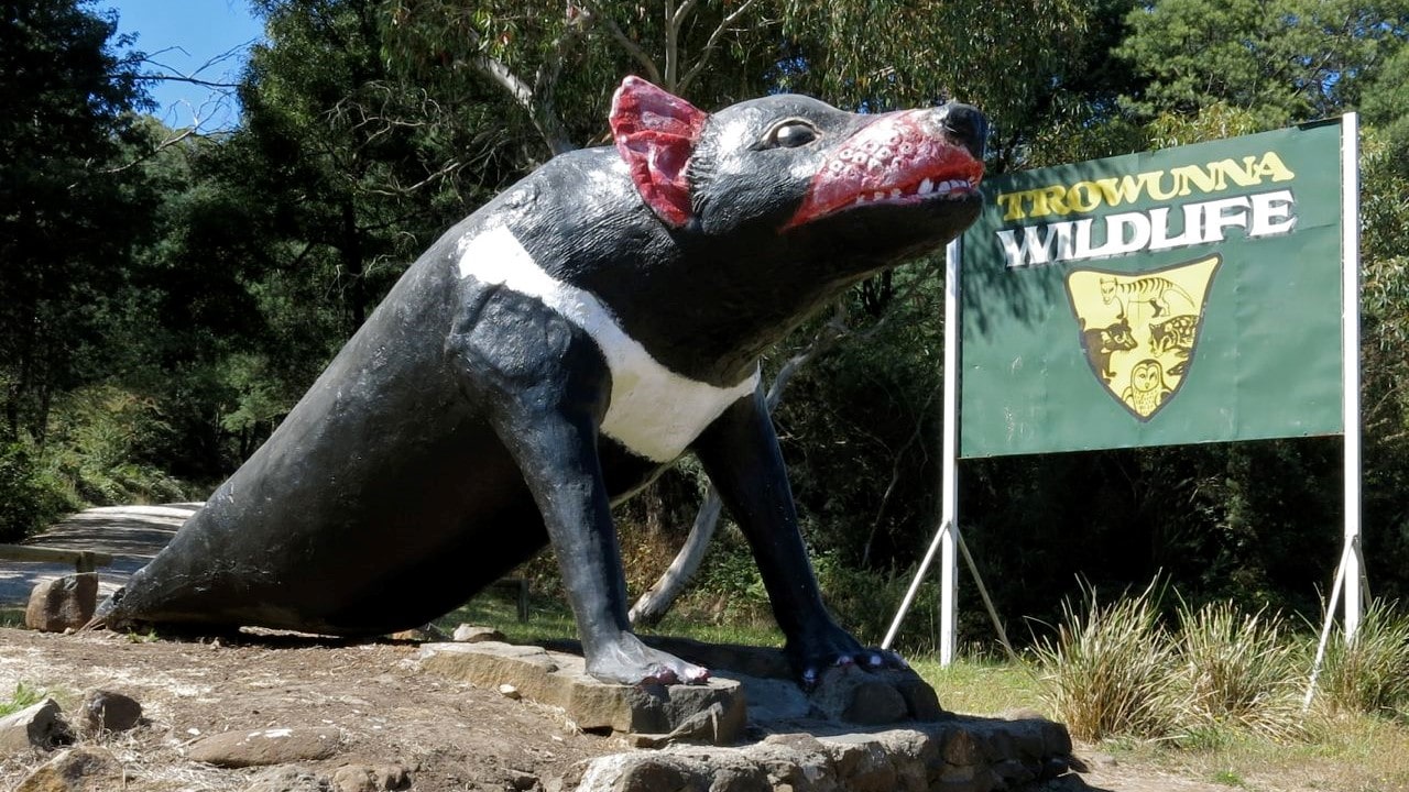 Big Tasmanian Devil in Mole Creek, Tasmania