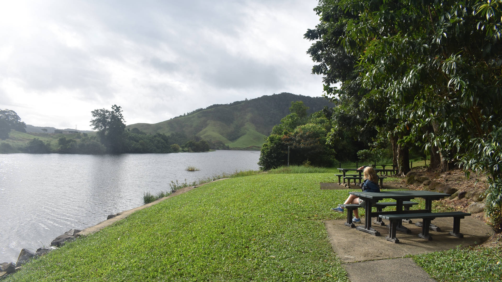 Picnic area next to a river, taken at the Daintree River down the hill from Daintree Village