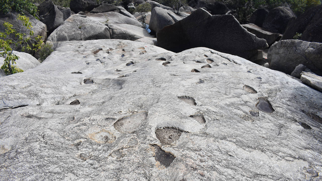 Dinosaur footprints left in the granite rock in Granite Gorge Nature Park