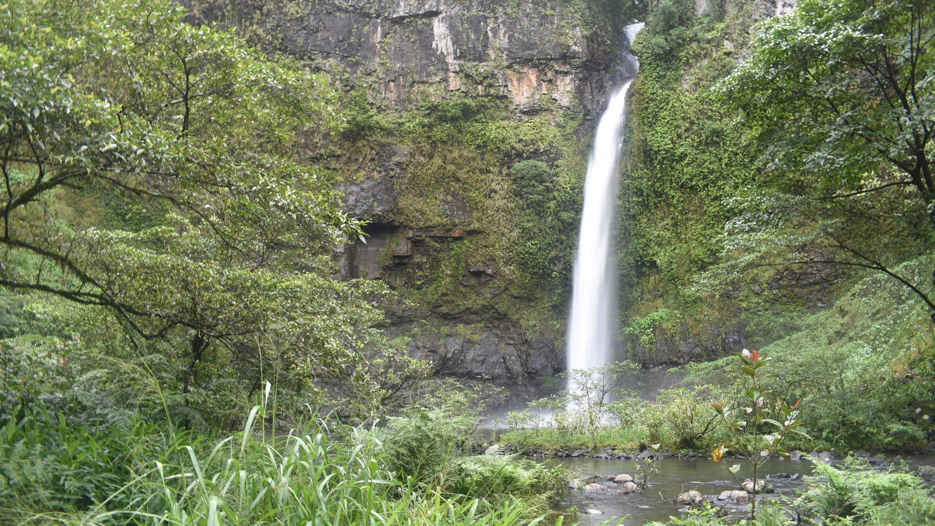Nandroya Falls on the walk from Henrietta Creek Campground