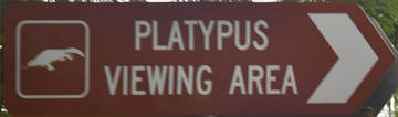 Brown sign for Platypus Viewing Area, symbol of a platypus