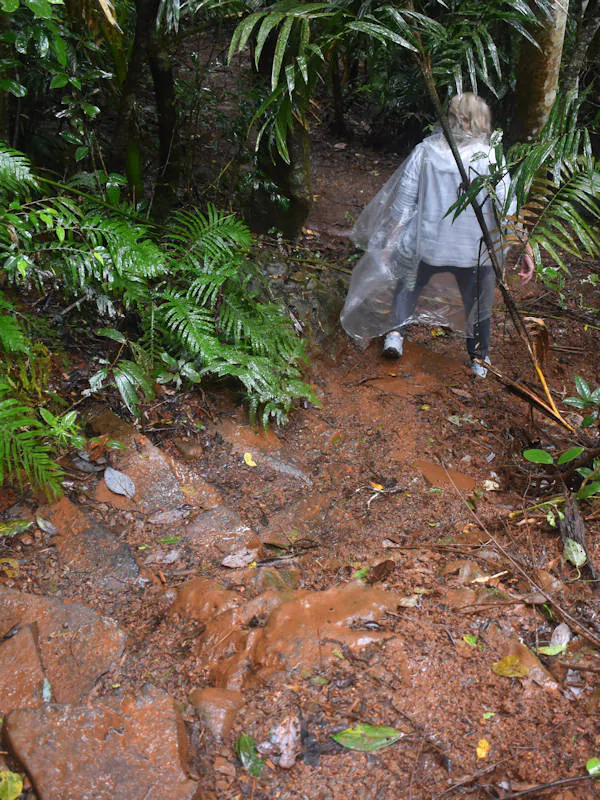 Woman walking down muddy rock steps on a trail down to Zillie Falls