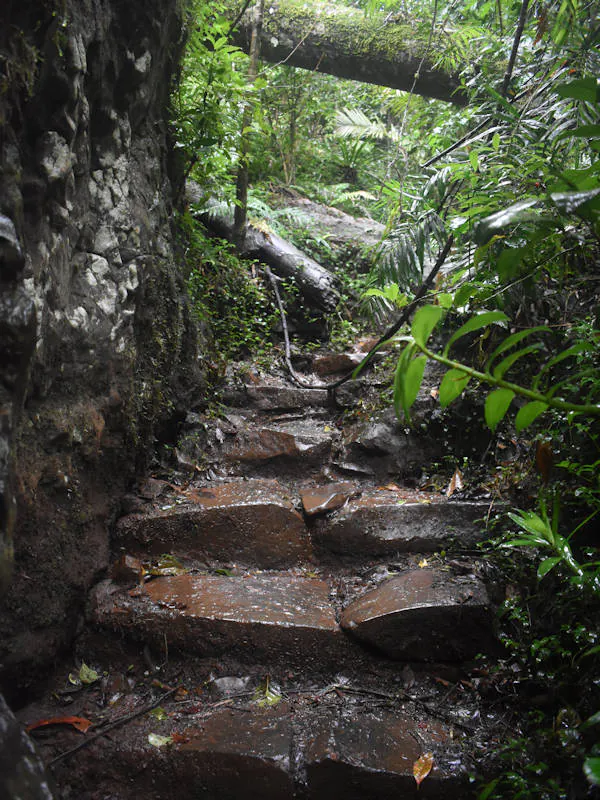 Rock steps beside a rock wall, on the trail to the bottom of Zillie Falls