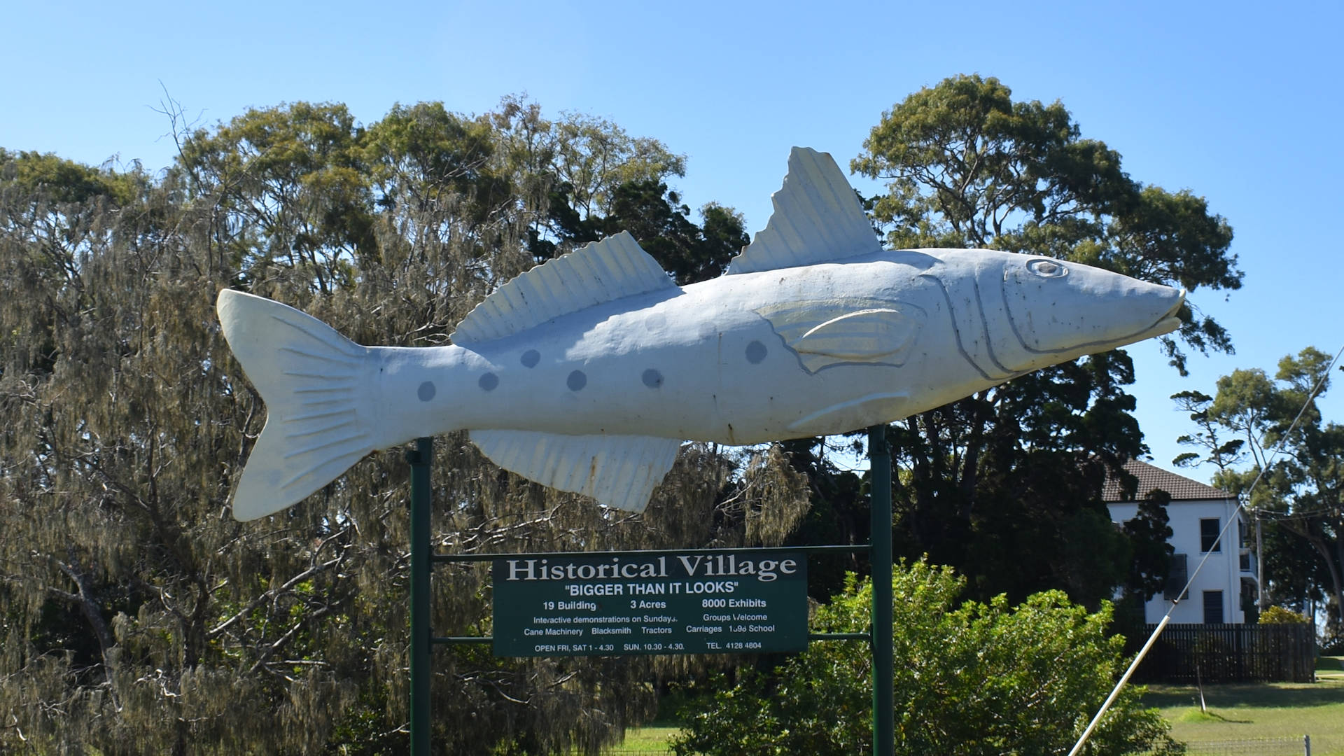 The Big Fighting Whiting outside the Historical Complex in Hervey Bay