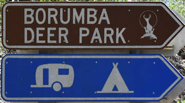 Brown sign for Borumba Deer Park, blue sign with symbols for caravan and camping