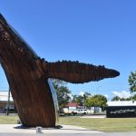 The Big Whale breaching, made of red ironbark timber and stainless steel