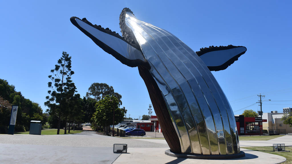 Stainless steel underside of 'Nala', the big whale in Hervey Bay