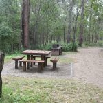 Picnic table and BBQ in Venman Bushland National Park