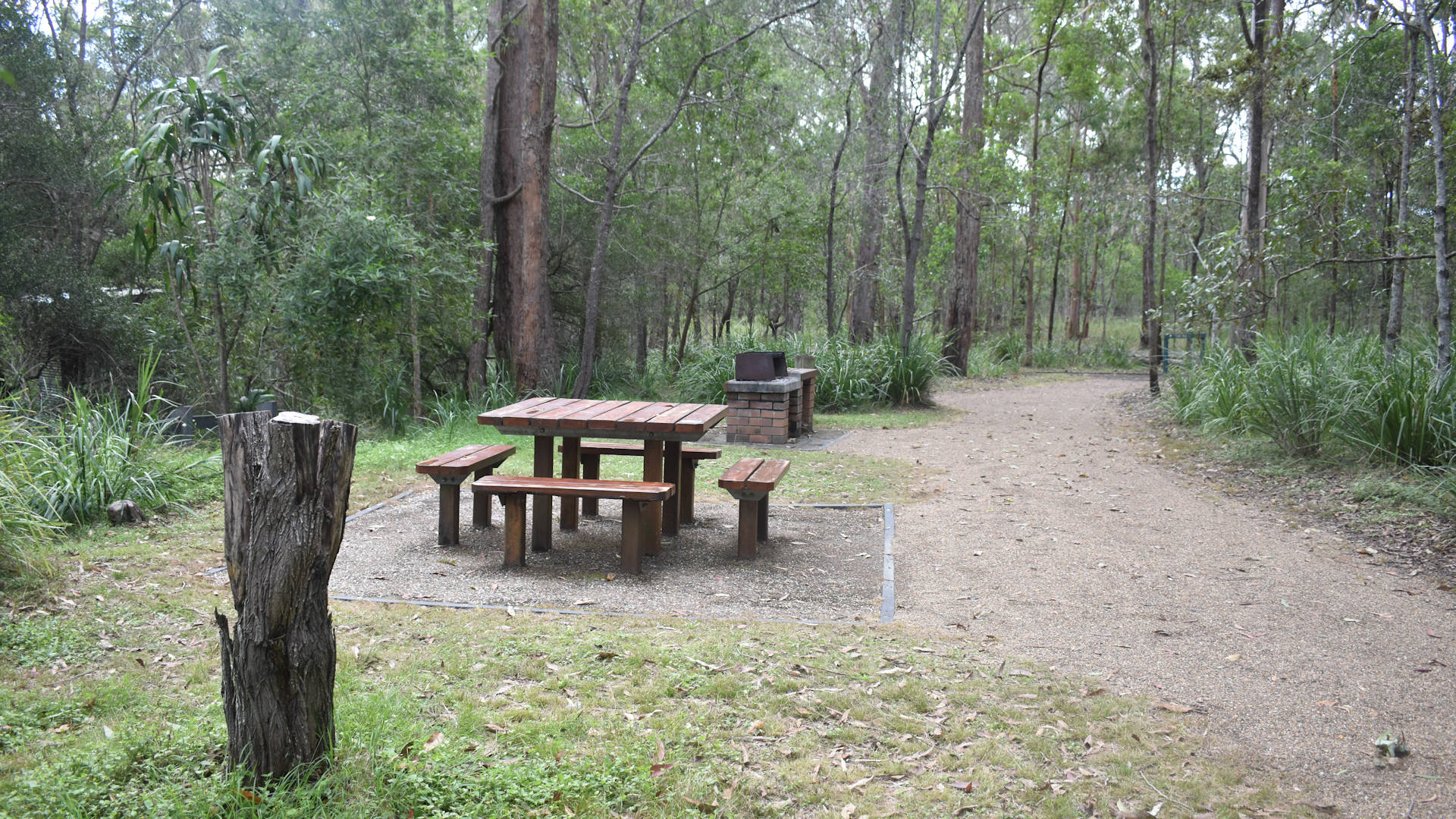 Picnic table and BBQ in Venman Bushland National Park