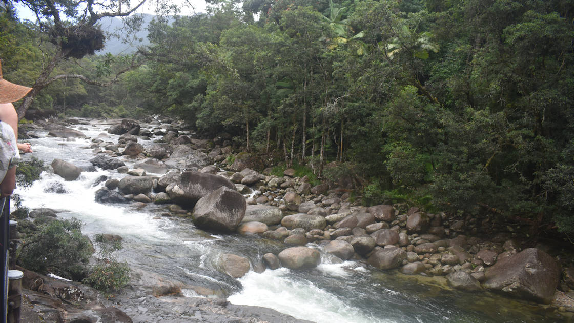 River water through a gorge, large river boulders, rainforest beside it