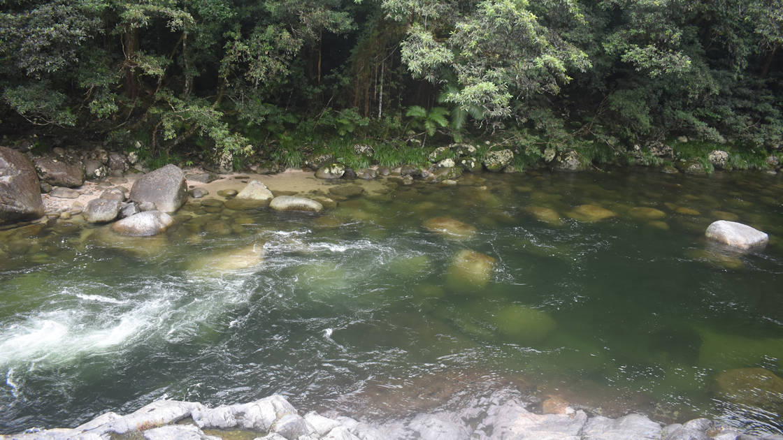 River water flowing left to right into a slow deep section, rainforest on the other side