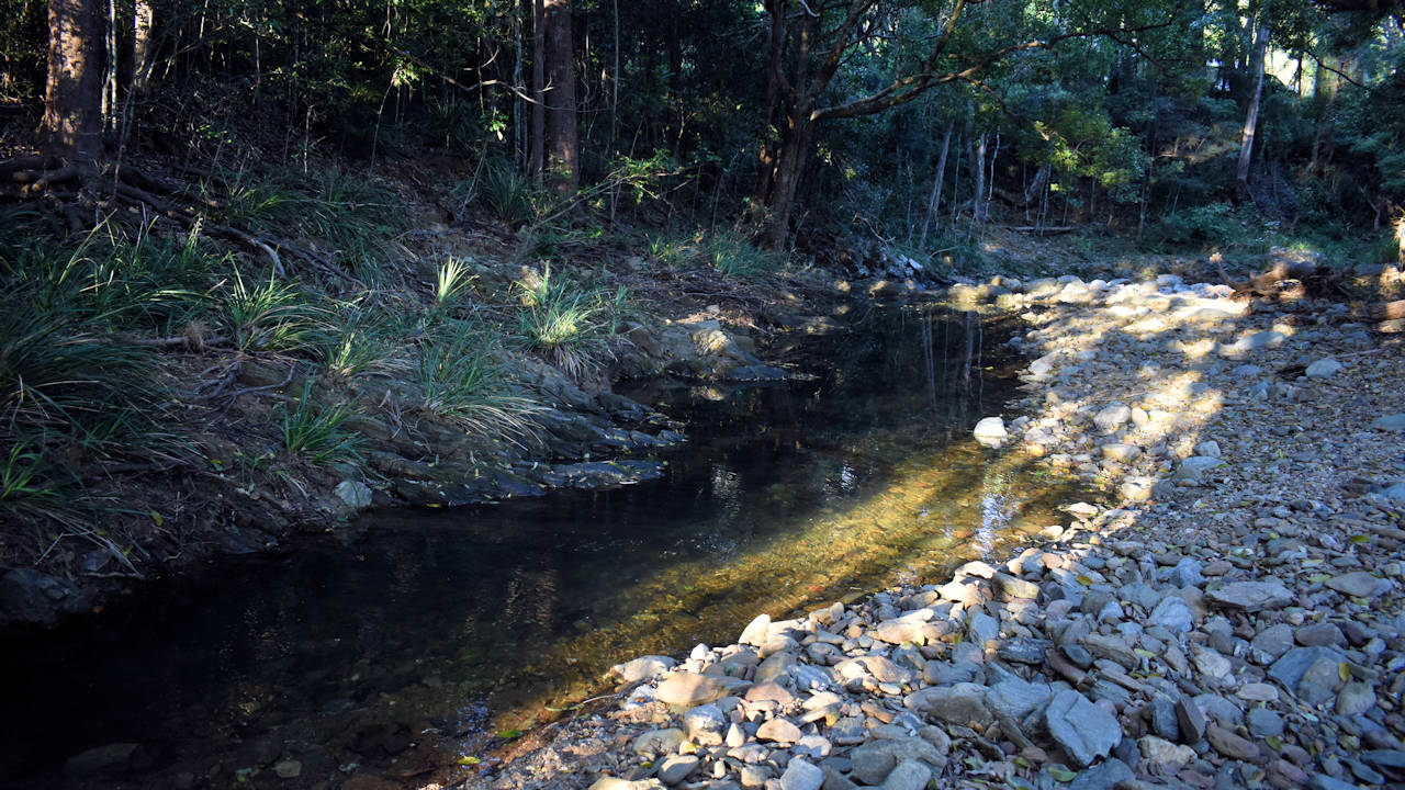 Stretch of a rocky creek in Jackson Park, Wamuran Basin